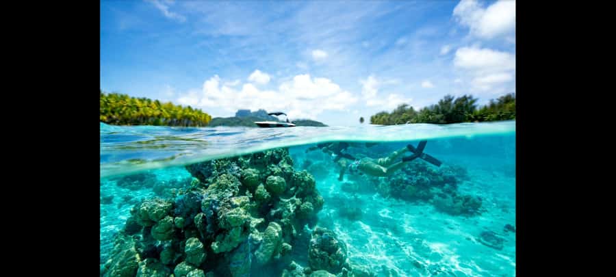 Bora Bora: Snorkeling and Fishing Tour with Lunch Option - What the four-hour Bora Bora outing is really like