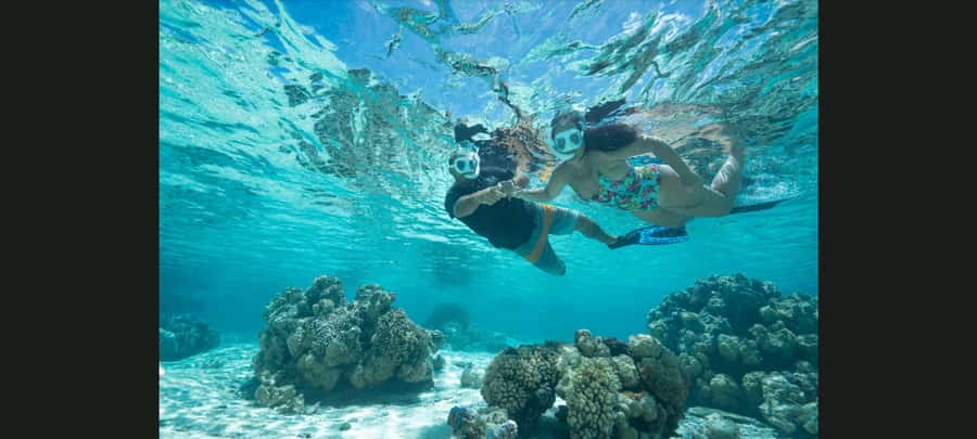 Bora Bora: Snorkeling and Fishing Tour with Lunch Option - Snorkeling with sharks and rays
