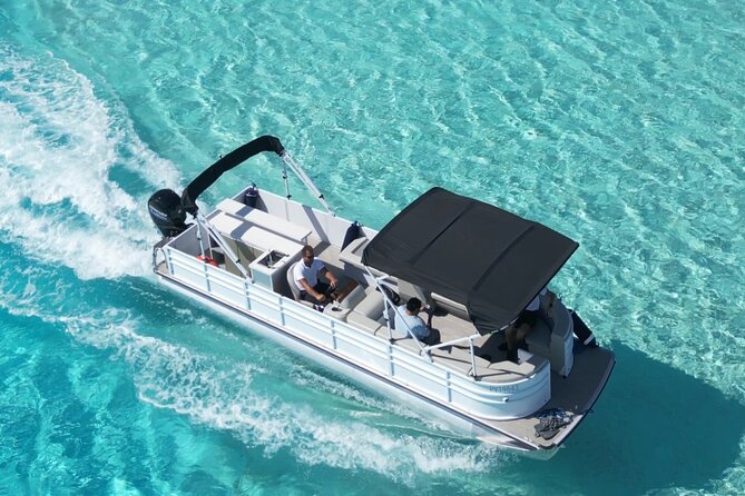 Bora Bora Whale Watching - The possible swim with humpback whales