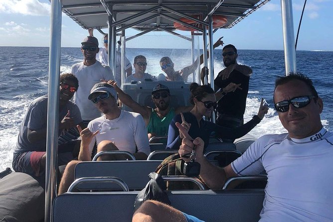 Bora Bora Whale Watching - Weather, comfort, and what to bring