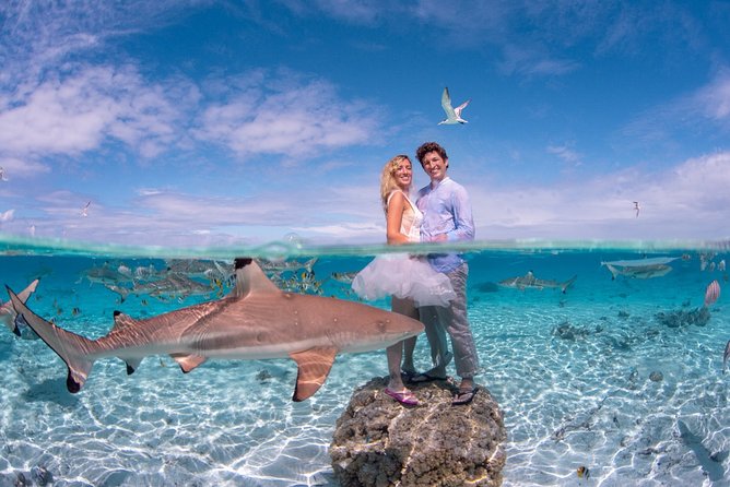Combo Diving and Snorkeling Full Day Tour - A motu pause with Mount Otemanu in view
