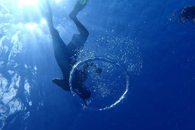 Combo Diving and Snorkeling Half-Day Tour - Equipment, comfort, and what to bring