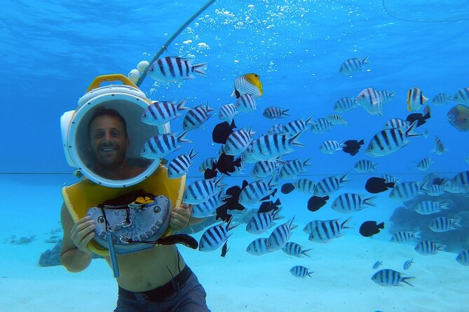Combo snorkeling + motu lunch + jet ski group tour full day - Who should choose this six-hour tour