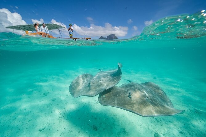 Combo snorkeling + motu lunch + jet ski group tour full day - Coral gardens and a remarkable amount of fish