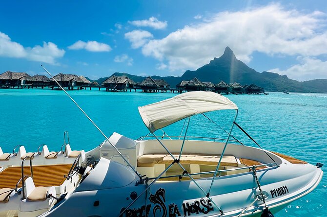 Crazy sea horse Bora Bora Comfortable boat, snorkeling and lunch - Swimming with rays, sharks, and tropical fish