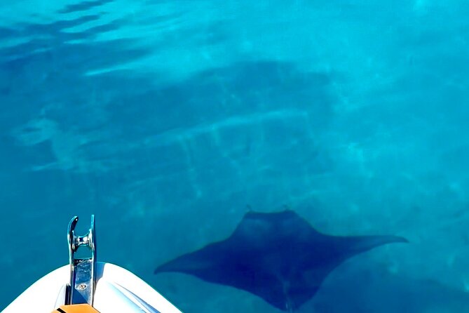 Crazy sea horse Bora Bora Comfortable boat, snorkeling and lunch - Lunch turns the excursion into a full half-day