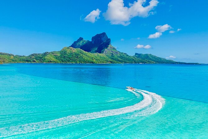 Crazyseahorseborabora Comfortable boat , sensational snorkeling . - Mo and Tu bring the human touch