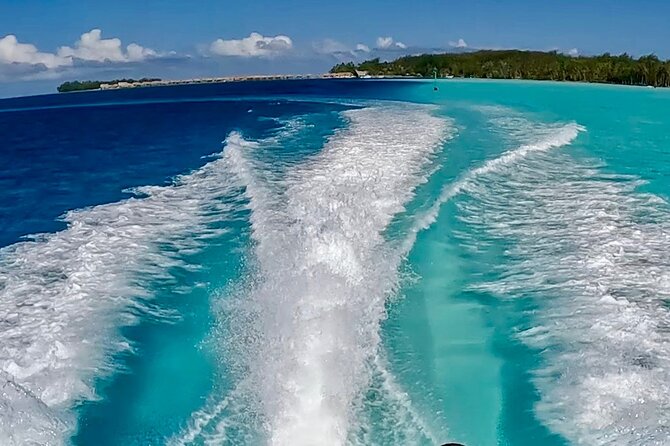 Crazyseahorseborabora Comfortable boat , sensational snorkeling . - What the $170 price includes