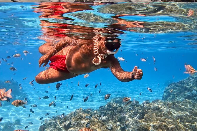 Crazyseahorseborabora Comfortable boat , sensational snorkeling . - The first run across Bora Bora’s lagoon