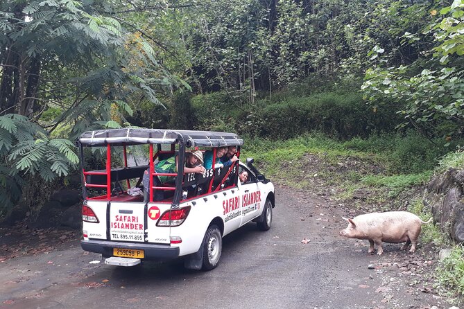 Crossing Island of Tahiti 4x4 Mountain, Waterfall, River, Basins - The bakery stop makes lunch easy