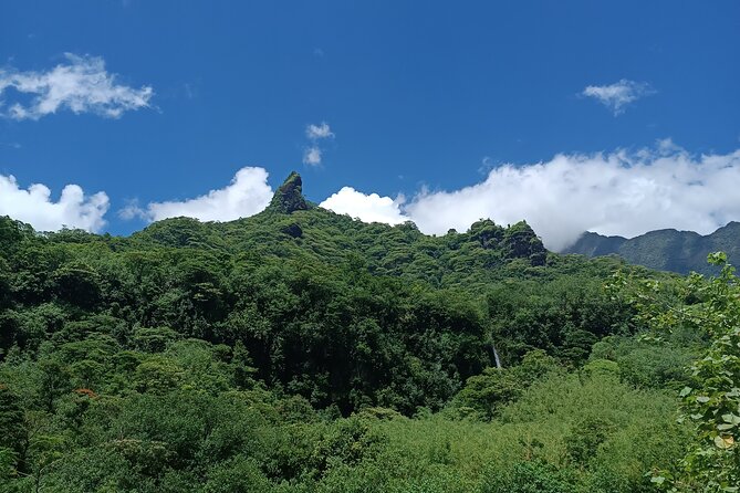 Découvrez le Mana durant la traversée de Tahiti en 4x4 Safari - Who should book this Tahiti safari