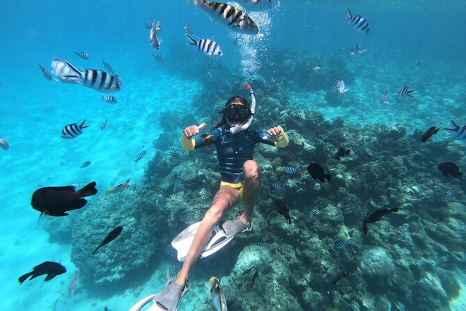 DEEP SEA FISHING 1/2 day (private group) - Snack, scenery, and the practical comforts