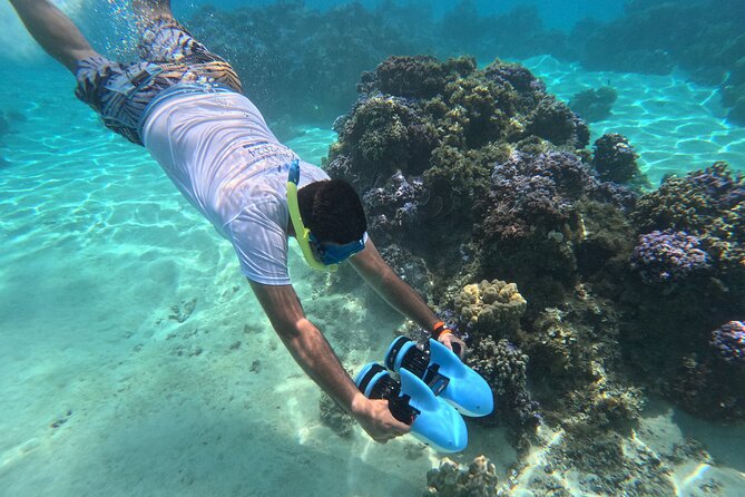 DEEP SEA FISHING 1/2 day (private group) - Weather, comfort, and the best fit