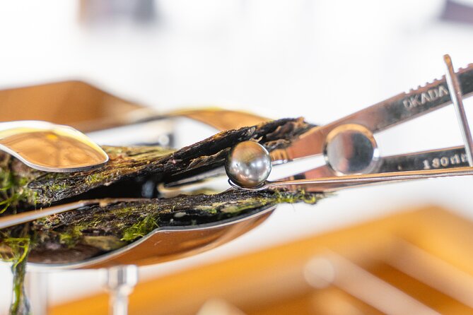 Discover the black pearl in Bora Bora - The boat ride from your hotel or Vaitape