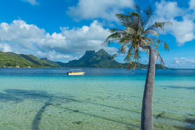 Discover the black pearl in Bora Bora - Is $200.42 a fair price?