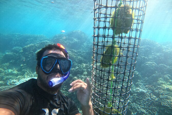 Discover the black pearl in Bora Bora - Who will enjoy this pearl farm most?