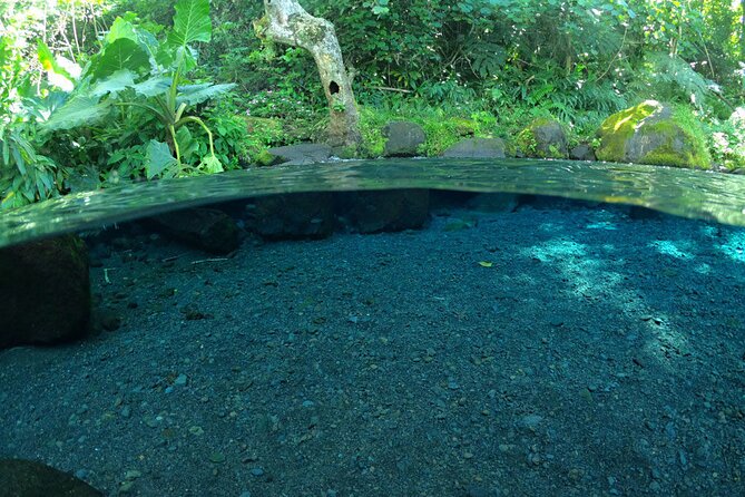 Discovering the emblematic sites of Tahiti - Mara’a Grotto brings you into the rock