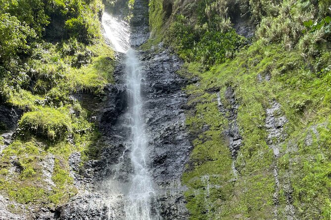 Discovering the emblematic sites of Tahiti - Parc Vaipoopoo ends the day facing Moorea