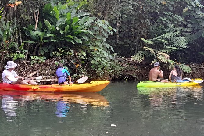 Discovery in Kayaking of the Faaroa River in Raiatea - Paddling the Faaroa River at a relaxed pace