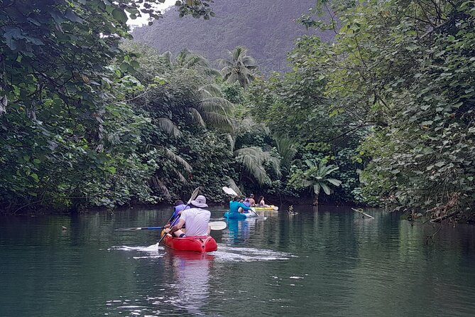Discovery in Kayaking of the Faaroa River in Raiatea - Why the local guide can make the difference