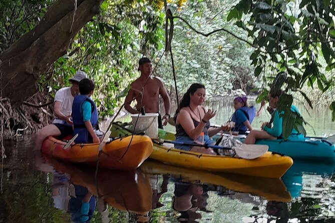 Discovery in Kayaking of the Faaroa River in Raiatea - The value of $117.24 per person