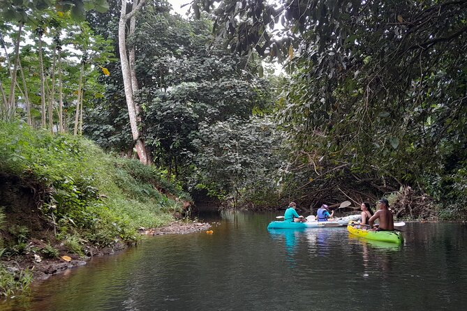 Discovery in Kayaking of the Faaroa River in Raiatea - Who will enjoy this Raiatea kayak tour