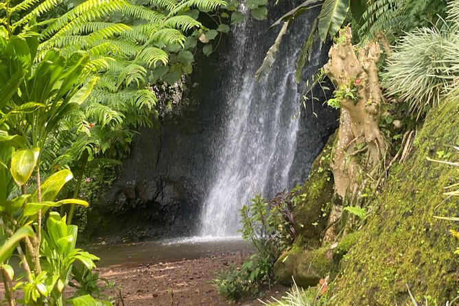 Discovery of Tahiti Nui Island - Key points before you book