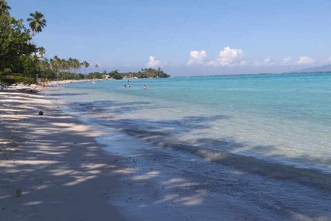 Discovery of Tahiti Nui Island - Te Fare Iamanaha sets the scene in 40 minutes