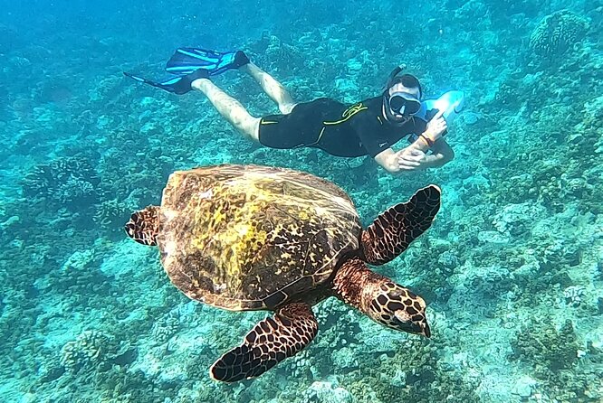 Diving day - Is $264.13 a fair price?