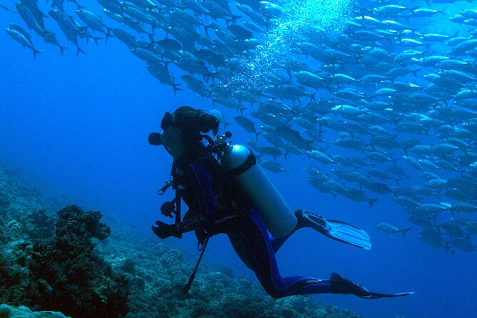 Diving initiation - Getting comfortable with the equipment