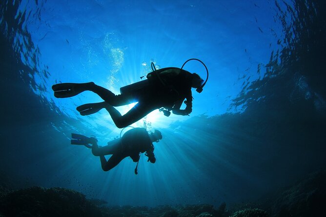 Double Diving Adventure Exploration for Certified Divers - Meeting near the InterContinental Tahiti Resort