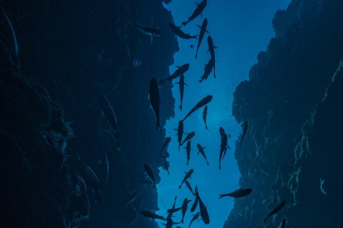 Double Diving Adventure Exploration for Certified Divers - Ocean or lagoon, with conditions shaping the plan