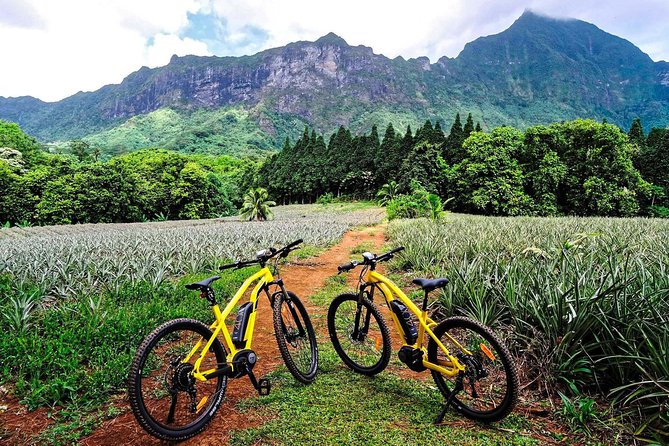 E-Bike Moorea Electric Bike Rental Moorea - Key points to know before you book