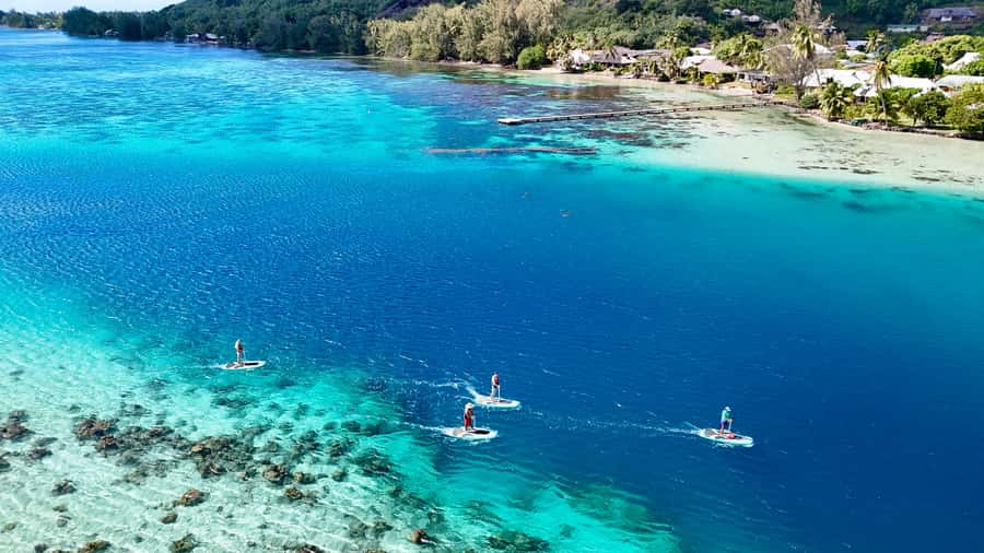E-Board private tour of Moorea lagoon - Gliding across Moorea’s lagoon