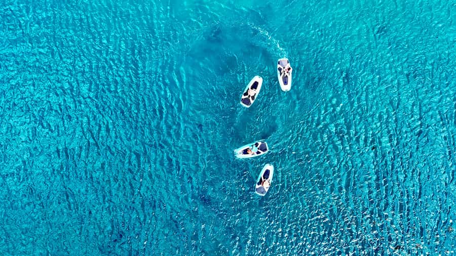 E-Board private tour of Moorea lagoon - Why the private format is worth considering
