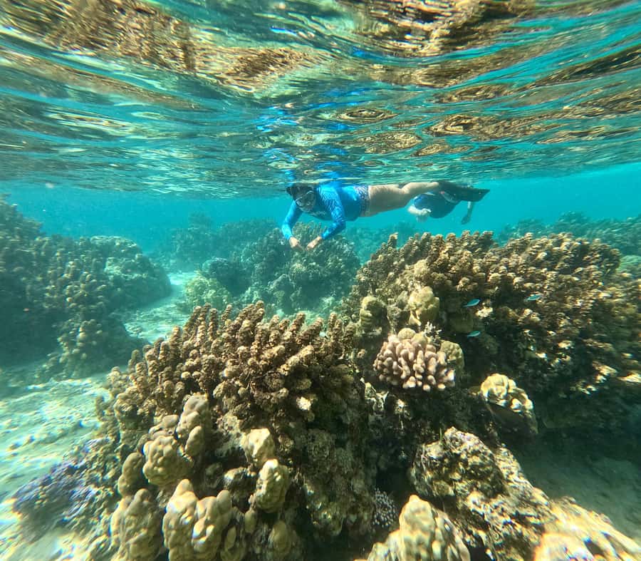 E-Board private tour of Moorea lagoon - Lucie, Benoît, and the human side of the outing