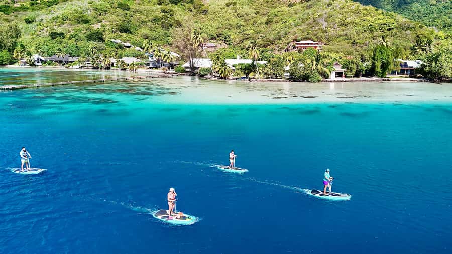 E-Board private tour of Moorea lagoon - Who will enjoy it most
