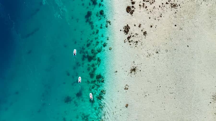 E-Board private tour of Moorea lagoon - What to bring and what to leave behind