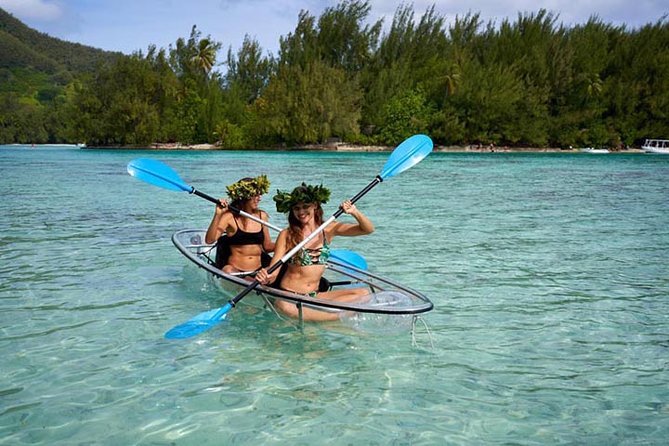 Eco guided excursion to the lagoon of Moorea in transparent kayak 1/2 day morning - Why the clear kayak changes the morning