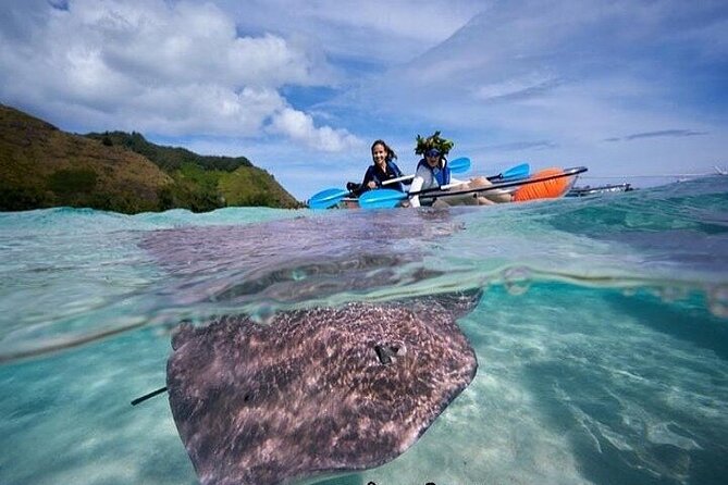 Eco guided excursion to the lagoon of Moorea in transparent kayak 1/2 day morning - Starting at Tiahura Beach at 8 a.m.