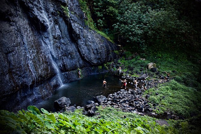 Enjoy Moorea Private day tour - Starting at 8:00 am with pickup included