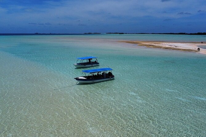 Excursion The Blue Lagoon and Reef Island - Key points to know before booking