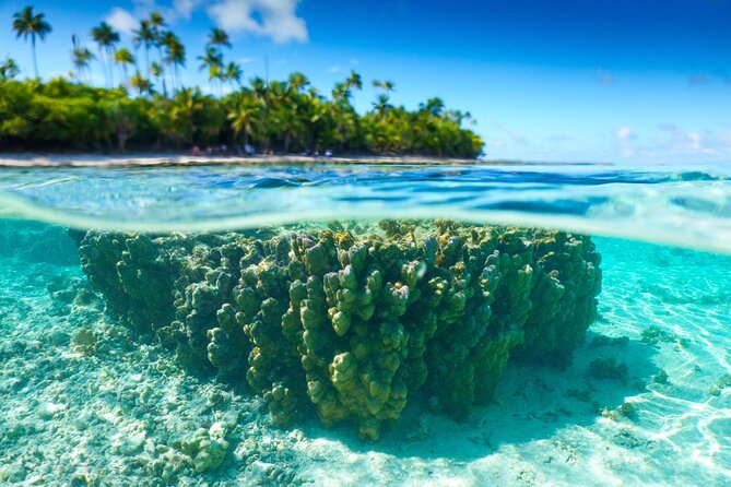 Excursion to Tetiaroa by Catamaran Visit Lunch Snorkeling - Five things to know before you book