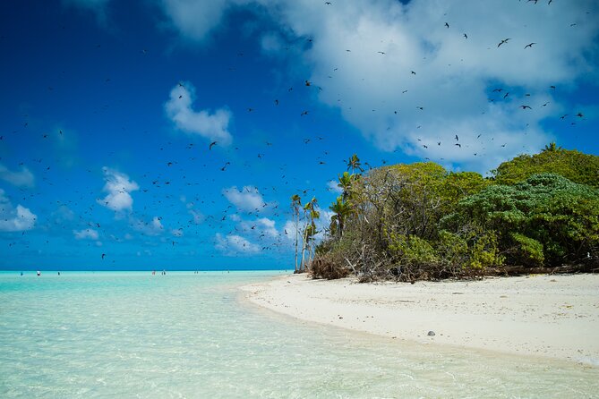 Excursion to Tetiaroa by Catamaran Visit Lunch Snorkeling - What the $235.69 price really covers