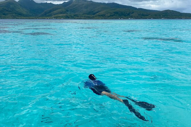 Exploration, Taha'a Lagoon Tour by Private Boat - How the $800 price works for a group of four