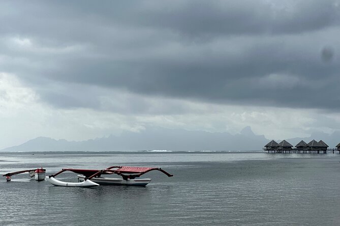 Explore Tahiti in depth in a day - Maraa Grotto and Tahiti’s cooler side