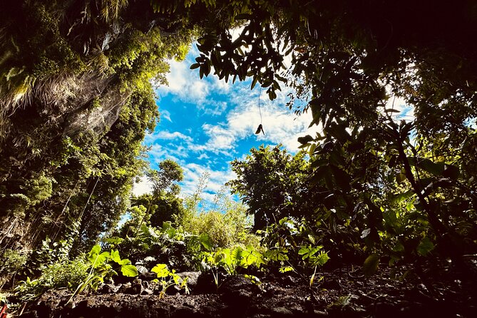Explore Tahiti Nui, its landscapes and iconic sites. - Pointe Venus and Matavai Bay