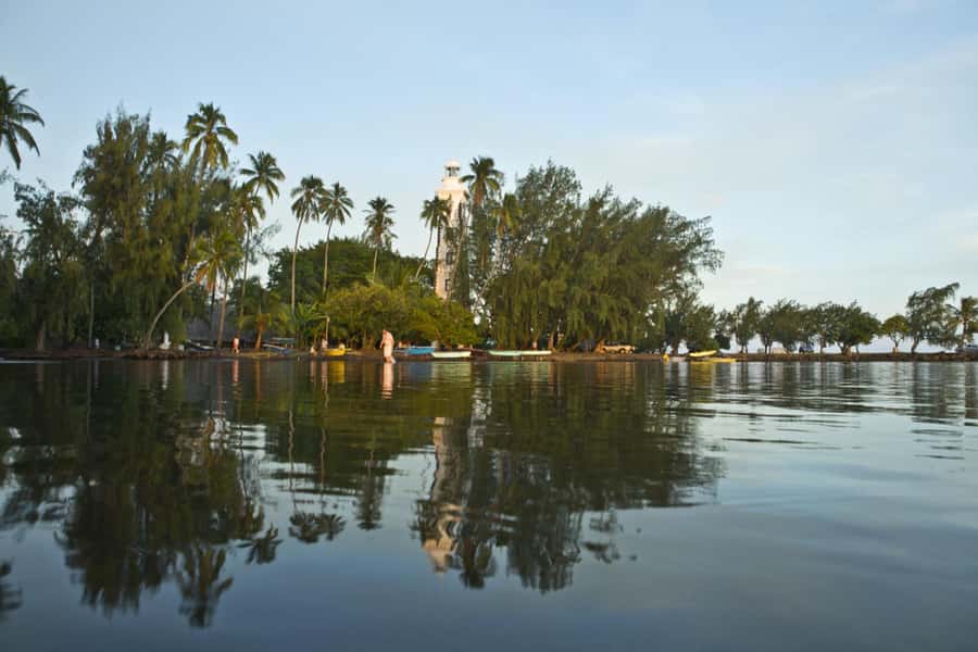 From Papeete: Tahiti Highlights Full-Day Private Tour - Vaipahi Water Gardens: a gentle walk through island plants