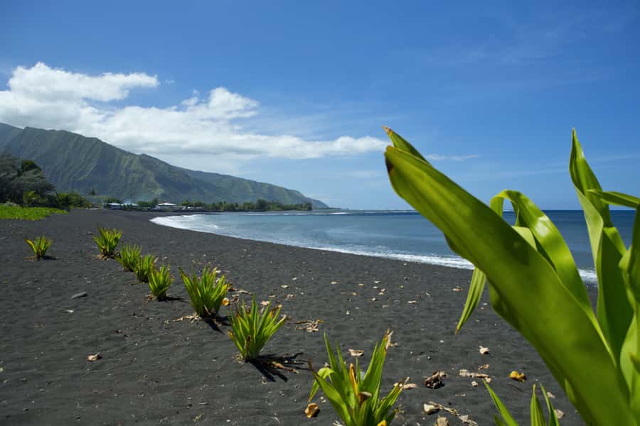 From Papeete: Tahiti Highlights Full-Day Private Tour - Lunch at Gauguin: a scenic pause, not an included meal