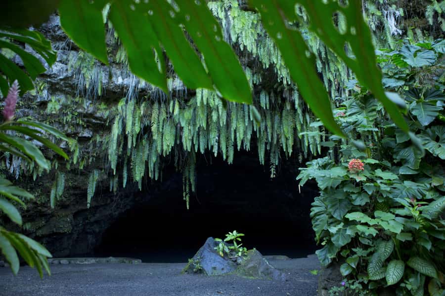 From Papeete: Tahiti Highlights Full-Day Private Tour - Taravao Lookout and Phaeton Bay: see Tahiti in two parts